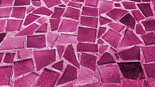 In What Places Is Purple Ceramic Tile Very Popular?